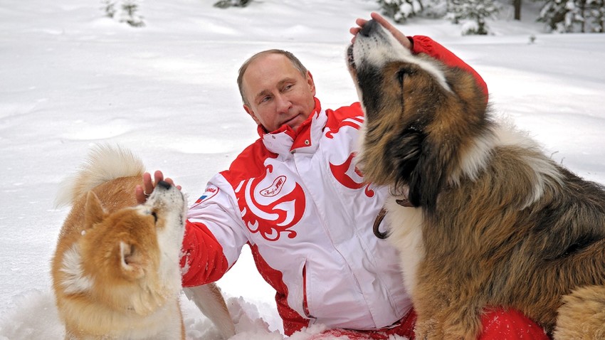 Todos os cães de Putin Russia Beyond BR