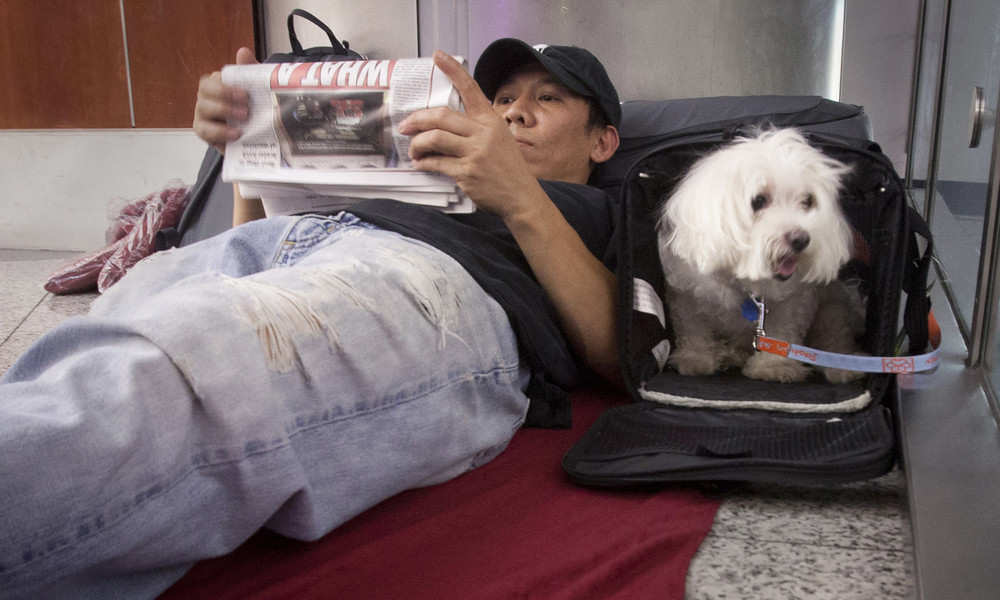 USVerkehrsministerium ändert Richtlinie über "Tiere zur