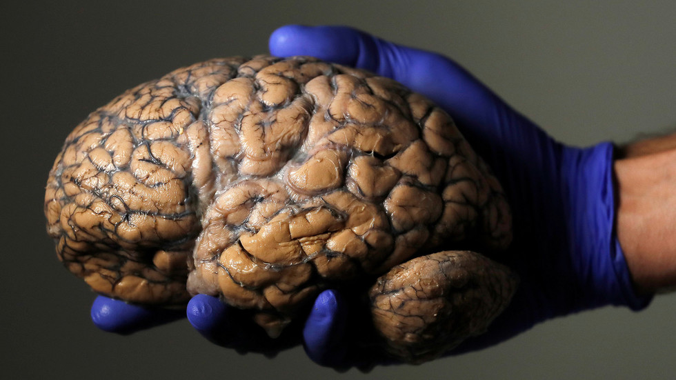 World’s 1st remote brain surgery via 5G network performed in China — RT
