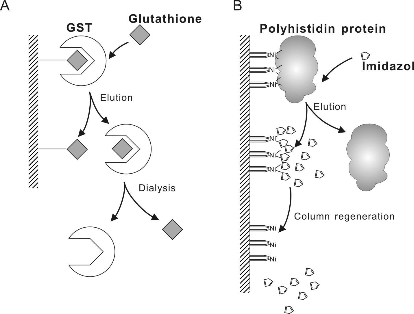 Chromatography Method IntechOpen