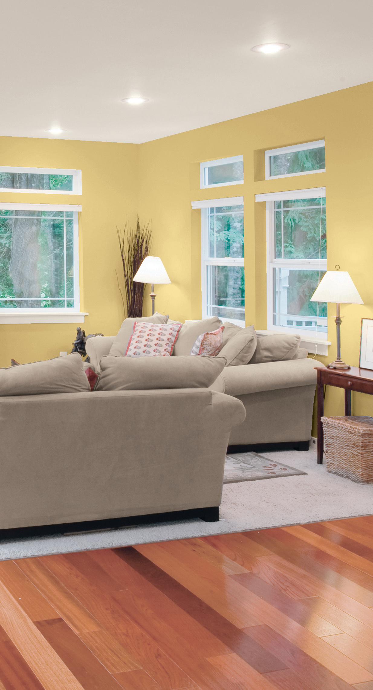 Soothing colours will take the spotlight next year, says CIL Paint