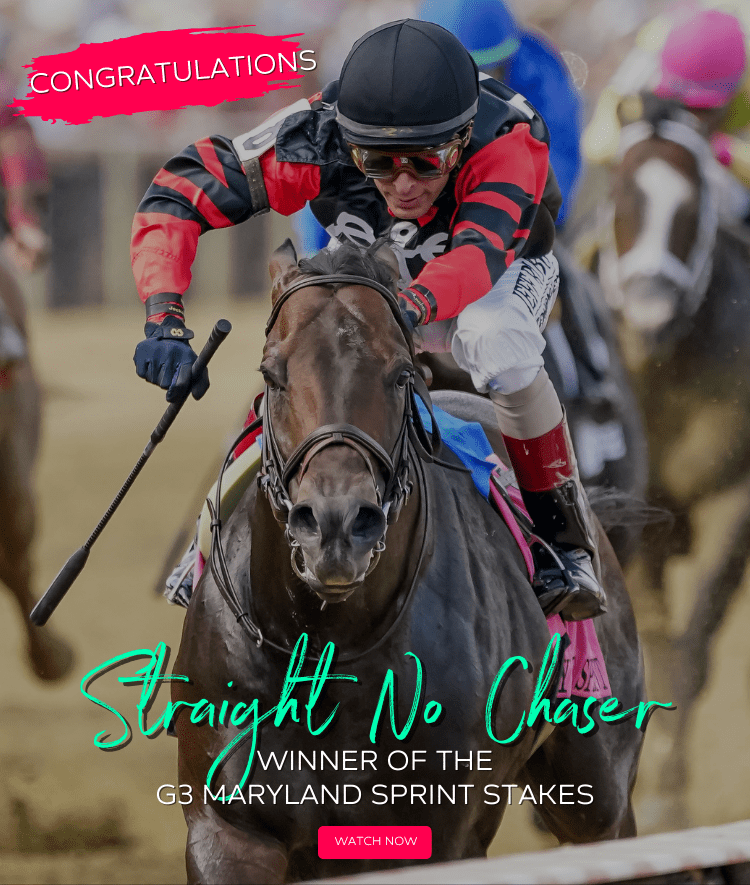 MyRacehorse Horse Racing Ownership. Buy a racehorse share. Starting