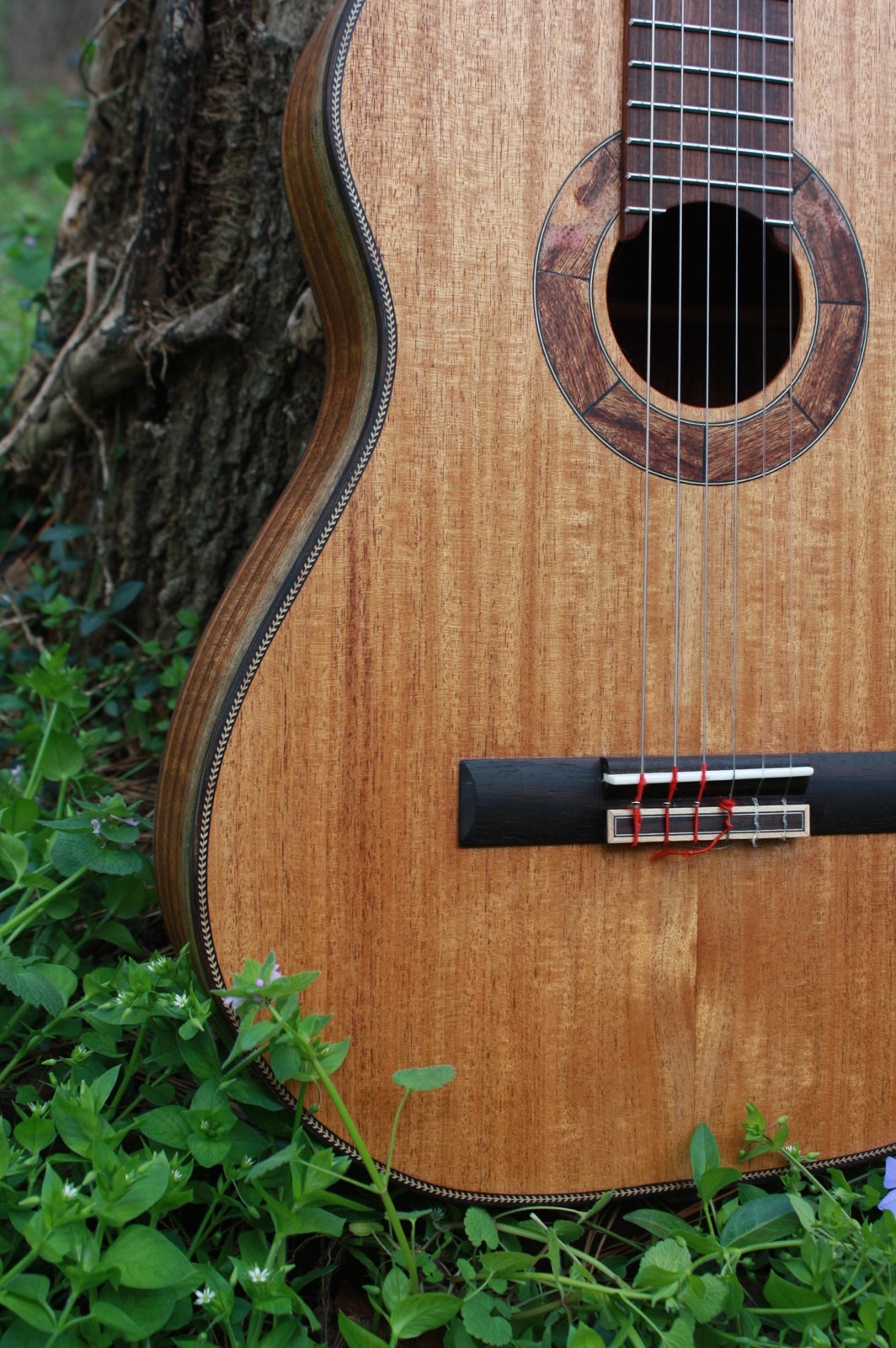 3 Simple Steps To Widen The Nut Slots On Your Guitar Mozart Project