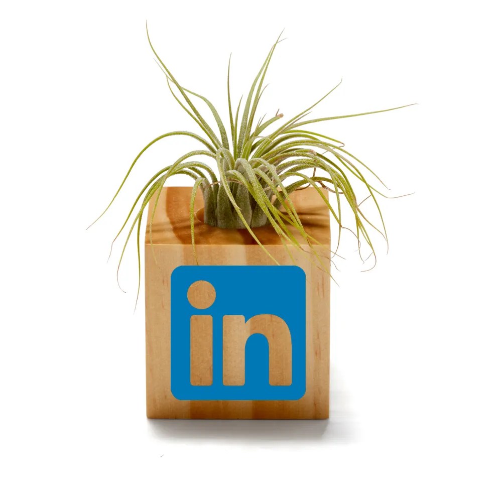 38 Fun Desk Drop Ideas for Employees Corporate Office Desk Drops