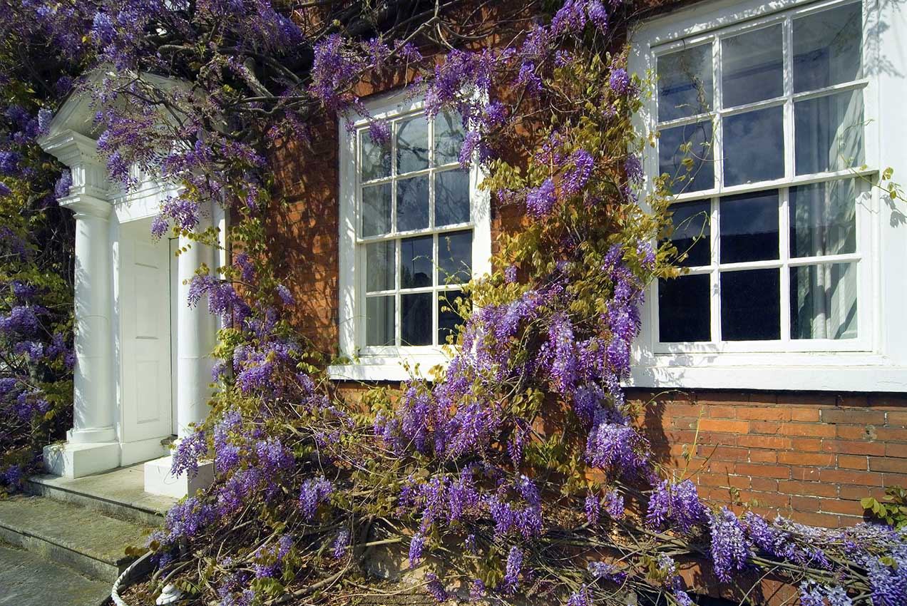 Sales and Lettings Agent in Beckenham, Kent Elite & Co