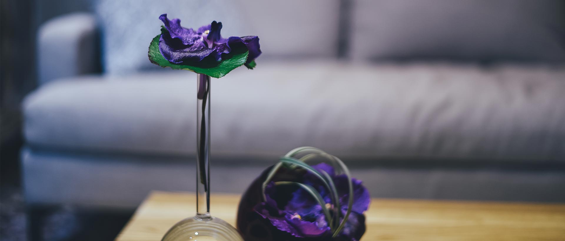 Estate Agents in Reigate Sales and Lettings Agents Lewis White