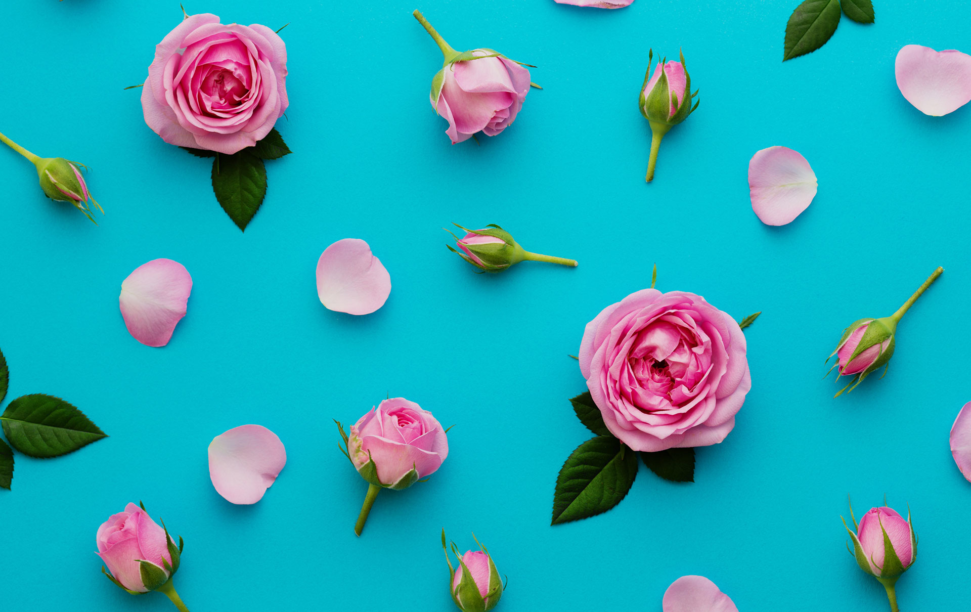 Email Online Bridal Shower Invitations that WOW!