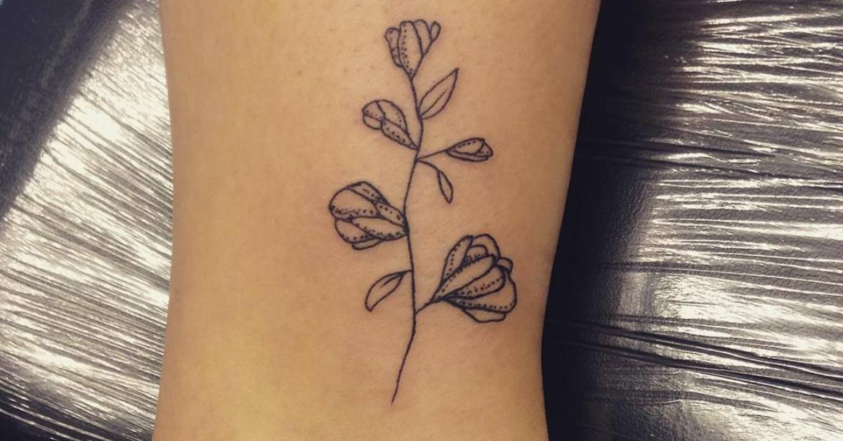 Sweet Pea Flower Tattoo Black And White Best Flower Site
