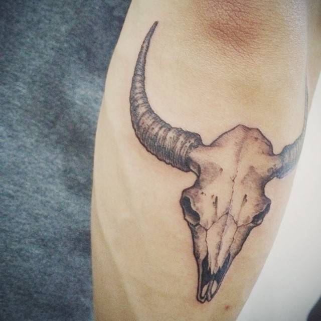 Bull Skull Tattoos | Tattoofilter 640_x_640_jpg