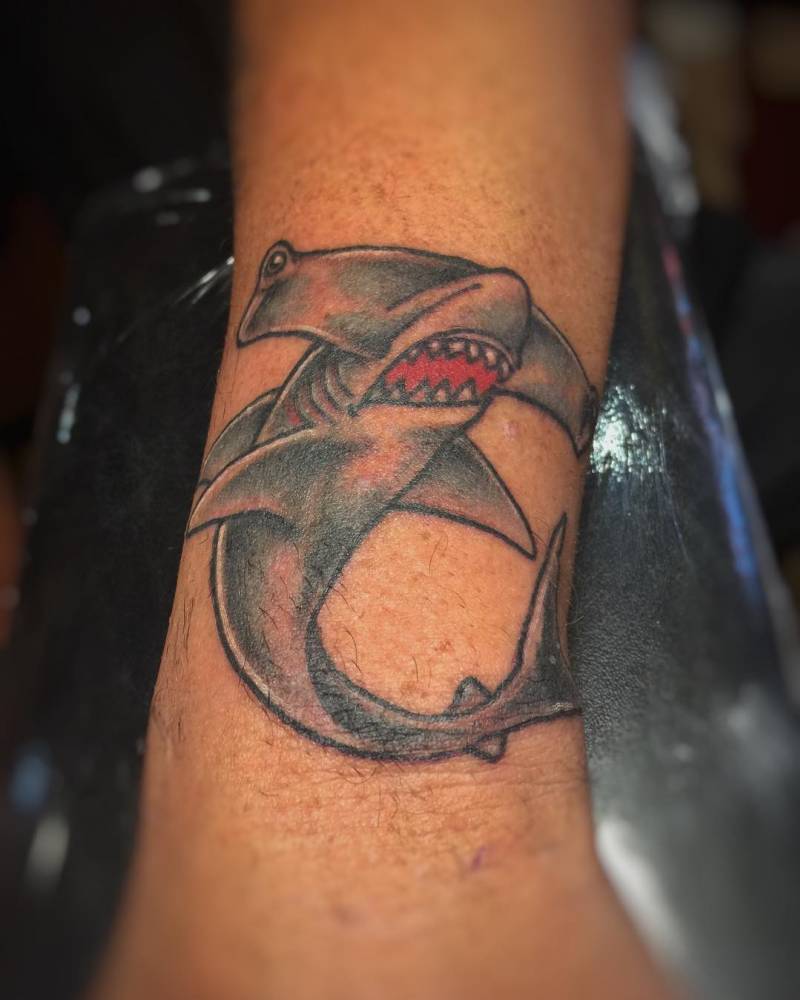 Traditional great hammerhead tattoo on the forearm.