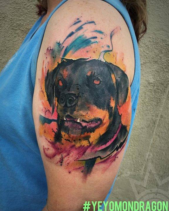 Watercolor Rottweiler Tattoo On The Left Upper Arm: 720_x_576_jpg
