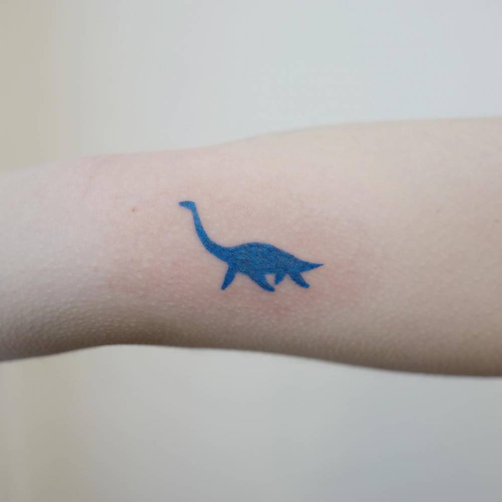 Minimalist Elasmosaurus ?-Get Your Favorite Dinosaur!? 1000_x_1000_jpg