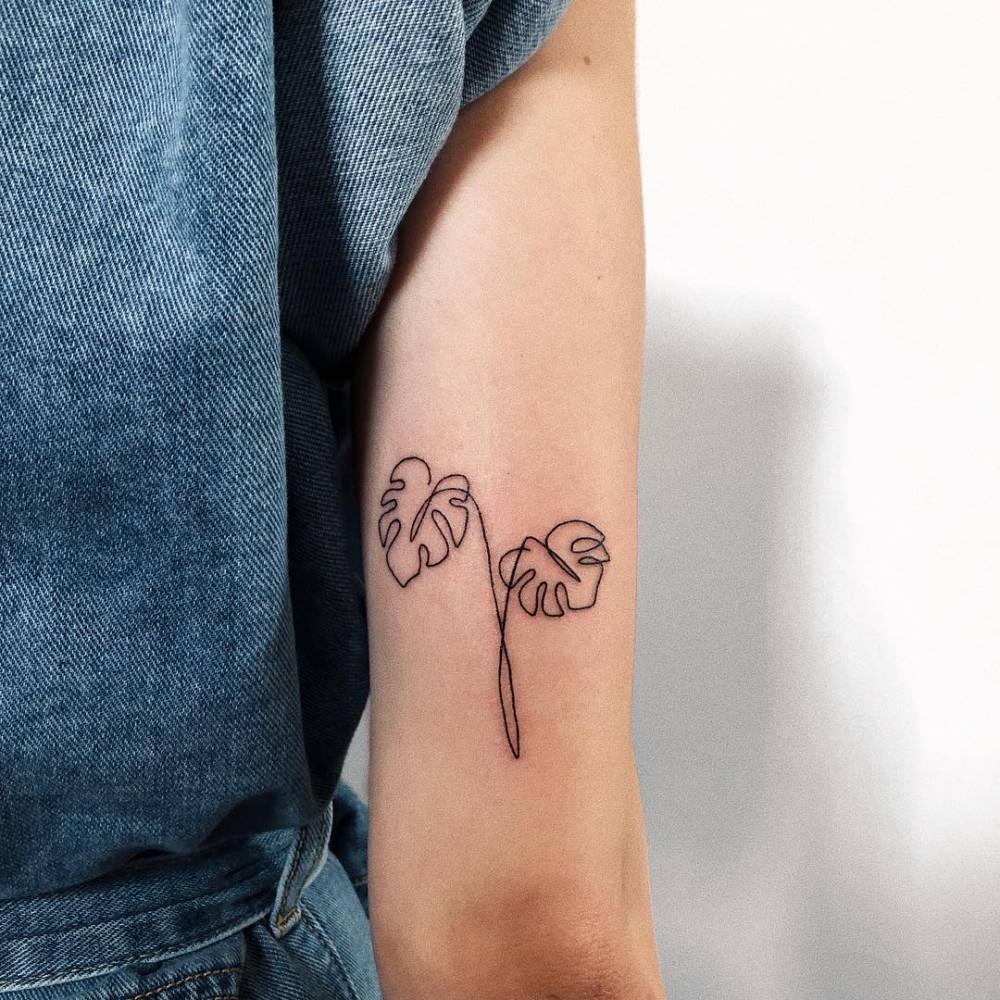 Monstera Leaves In Continuous Line 1000_x_1000_jpg