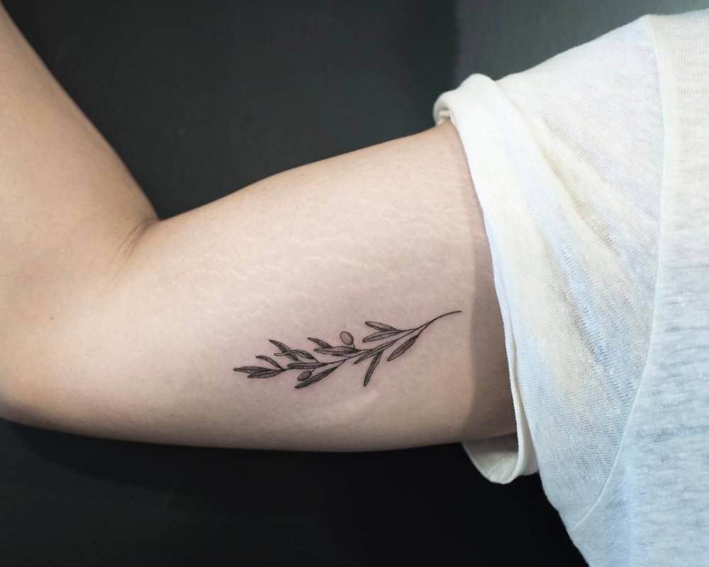 Single Needle Olive Branch Tattoo On The Right Inner