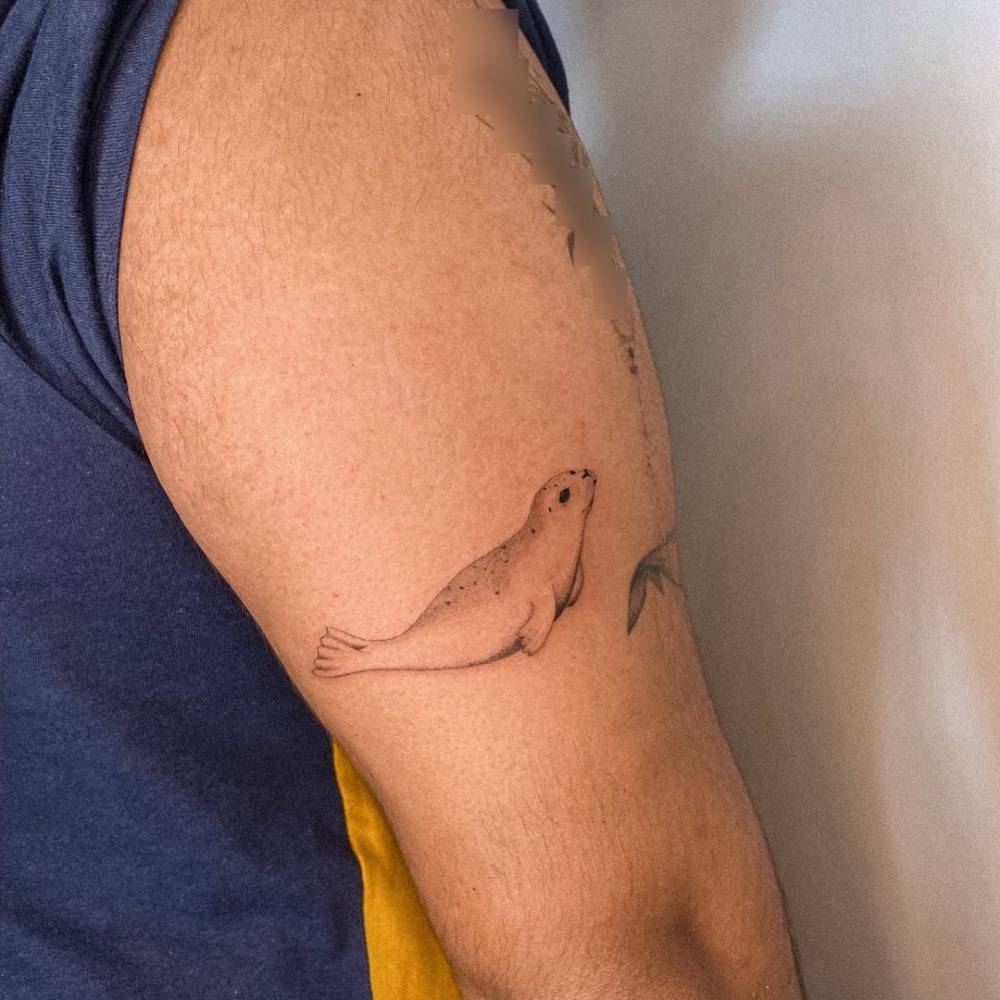 Microrealistic seal tattoo on the tricep.