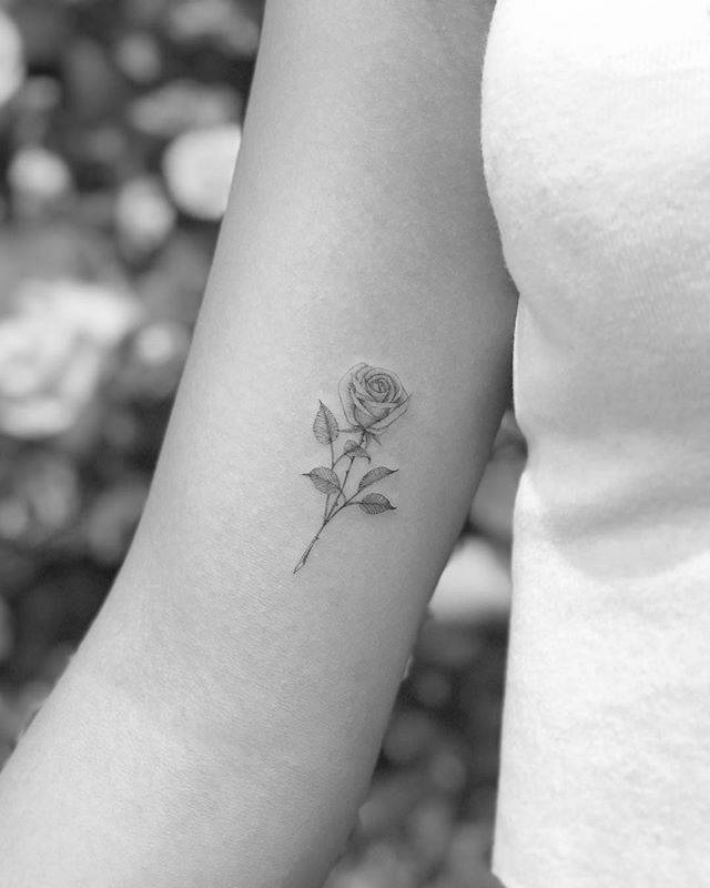 Single needle rose tattoo on the inner arm.