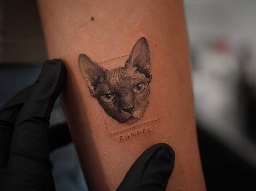 Top more than 82 hairless cat tattoo