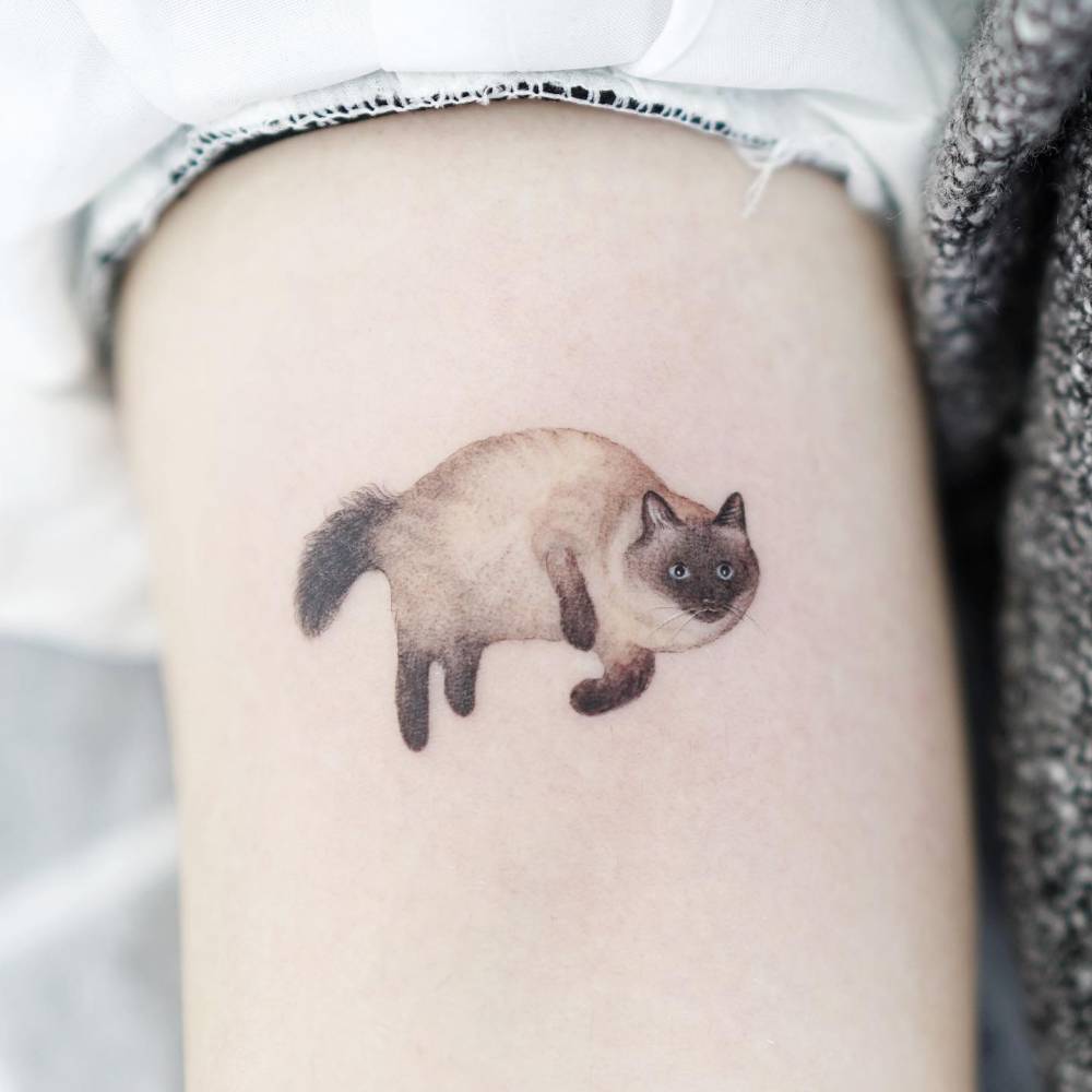 Siamese cat tattoo placed on the upper arm.