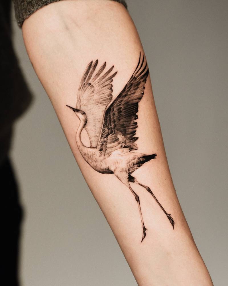 Microrealistic style crane tattoo done on the inner