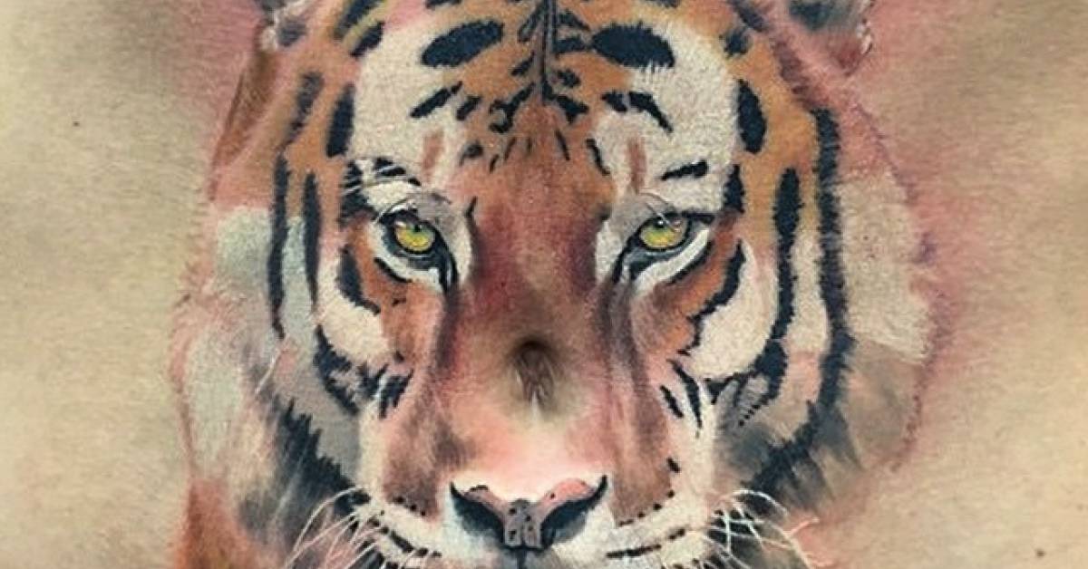 Color Realism Tiger Tattoo