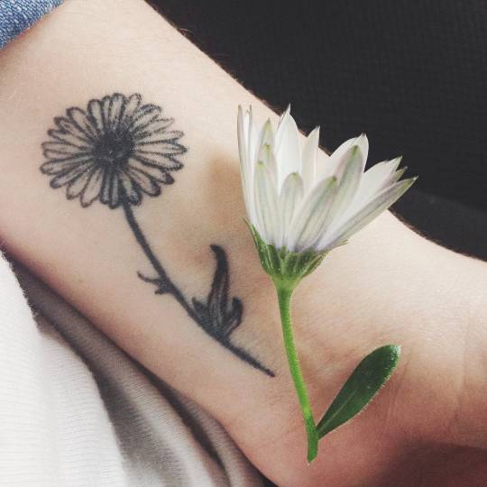 Small Wrist Tattoo Of A Daisy On Clara. 540_x_540_jpg
