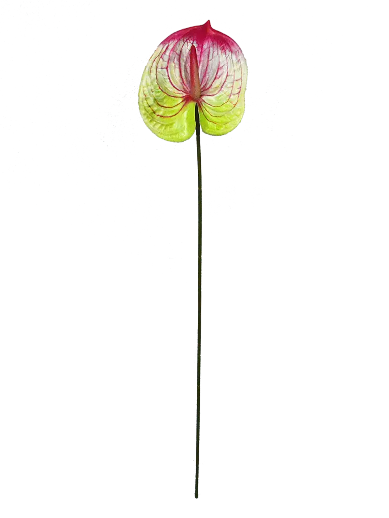 Wholesale Faux Trees Manufacturer and Supplier, Factory Flora