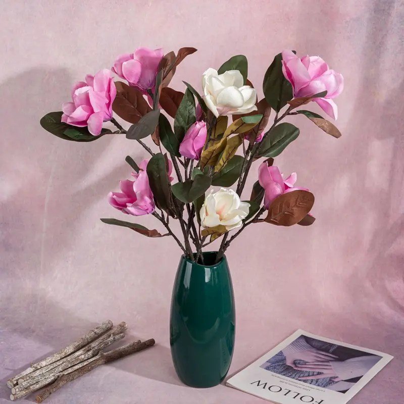 Magnolia Manufacturers China Magnolia Factory & Suppliers