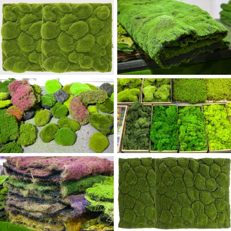 Wholesale wholesale fake moss wall art sphagnum plant Preserved