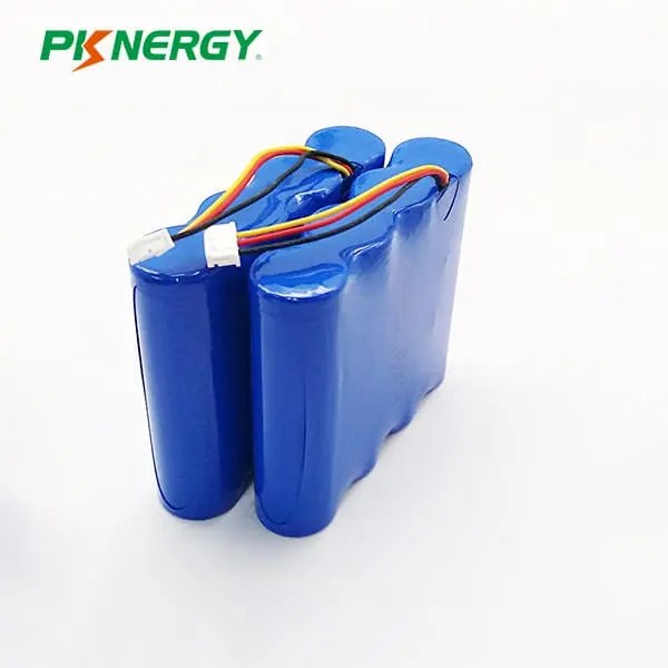 Lithium Ion Battery Pack Supplier PKNERGY