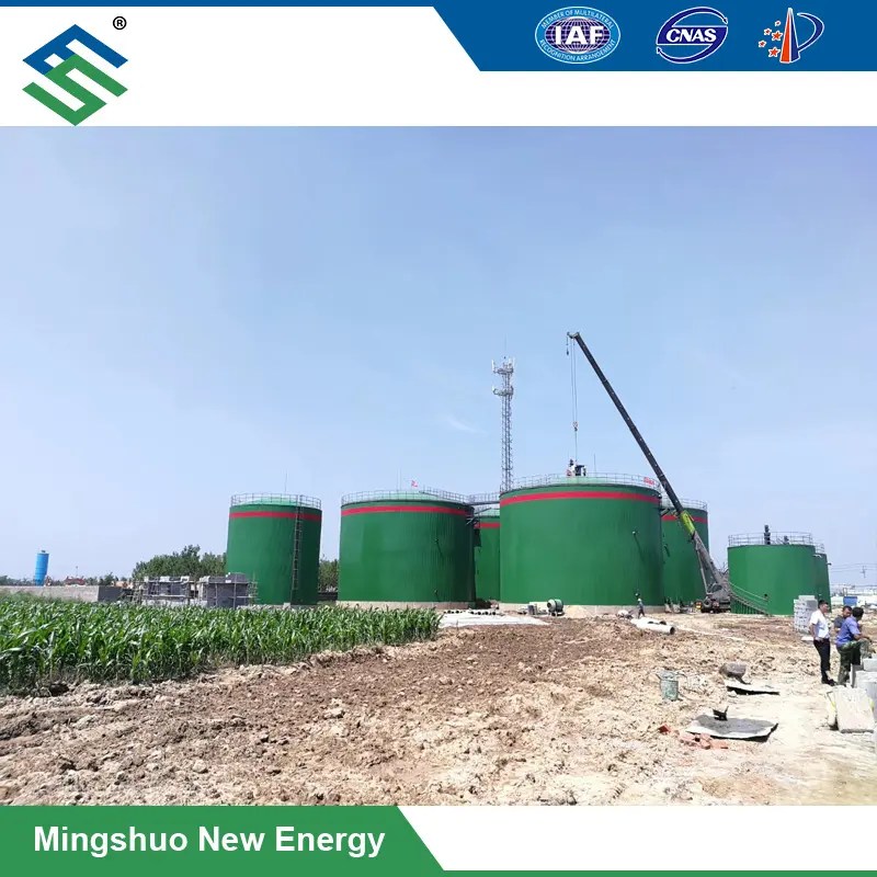China LargeScale Biogas Plant for Organic Waste Treatment Manufacturer