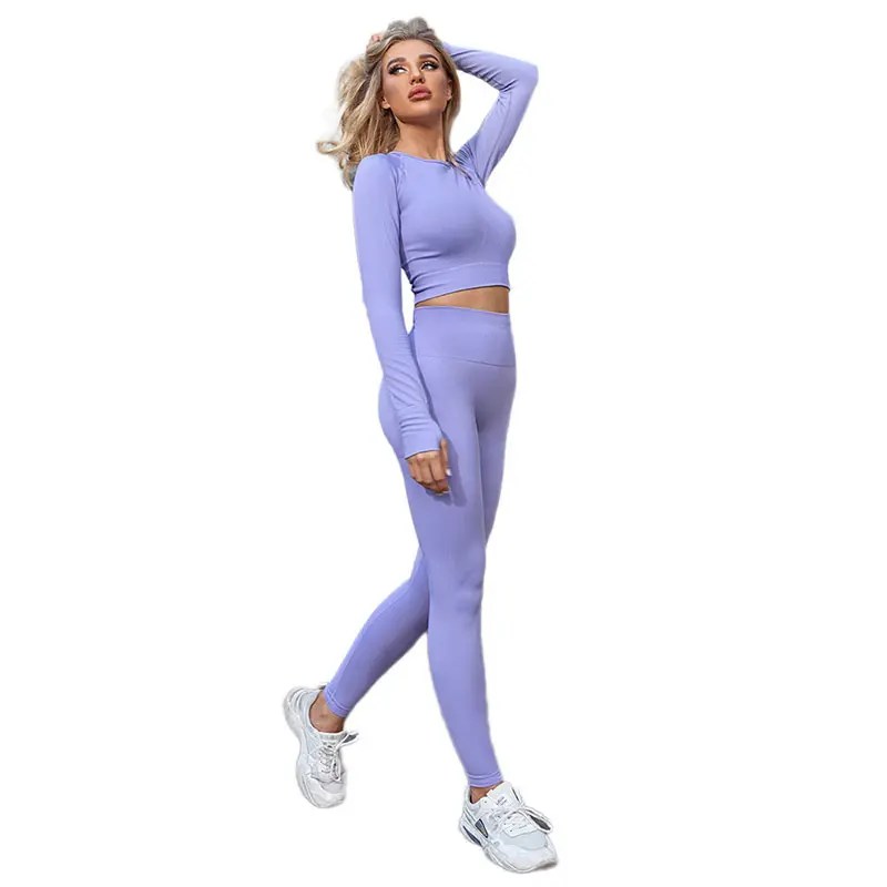 Wholesale Two Pieces Yoga Set Women Seamelss Fitness Knitted Recycle