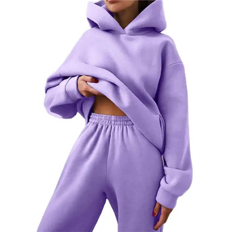 Wholesale Hoodie Tracksuit For Women Autumn Winter Blank Sweatshirt