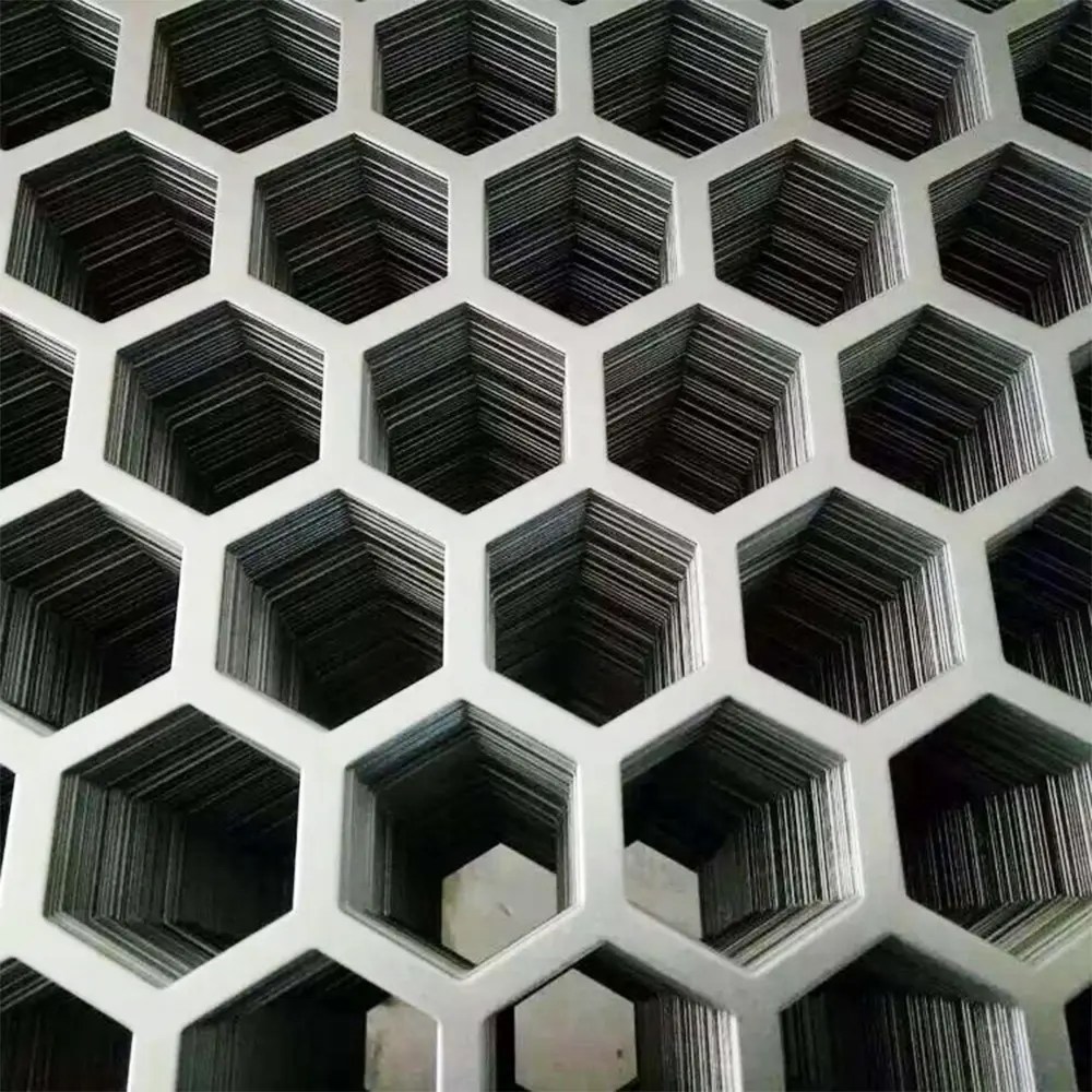 China Chinese Professional Plain Steel Wire Mesh Galvanized stainless steel perforated metal