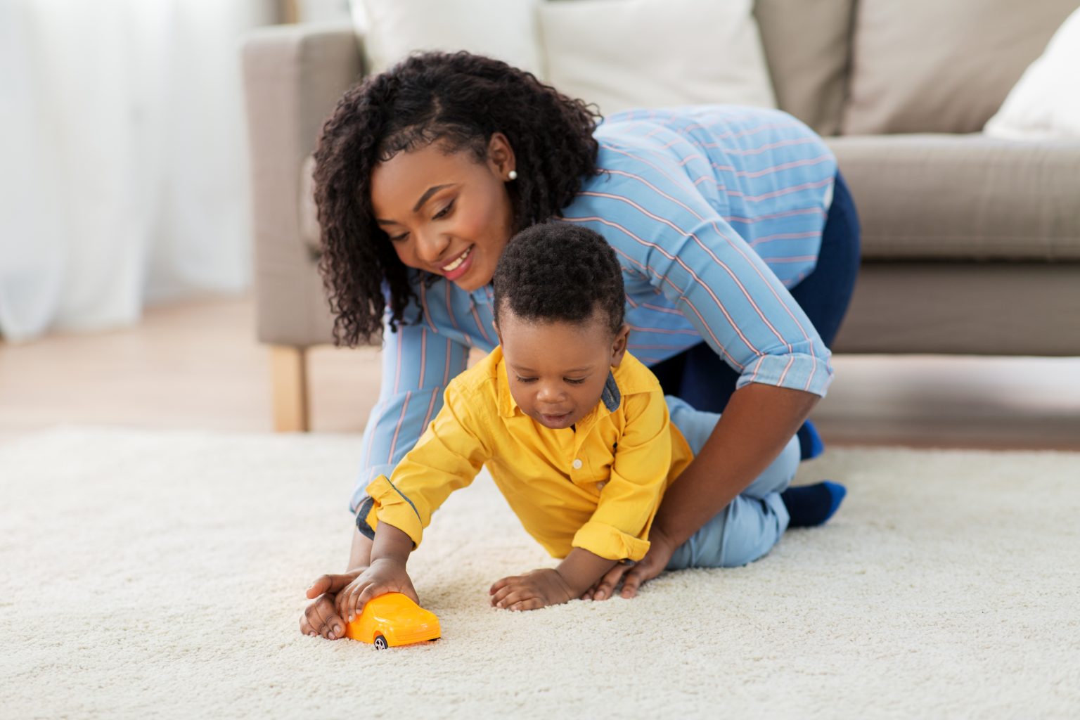 Area Rug Cleaning Services in Chicago Rug Cleaning