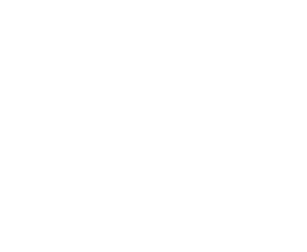 CDO Technology Managed ITServiceSales Greenville SC