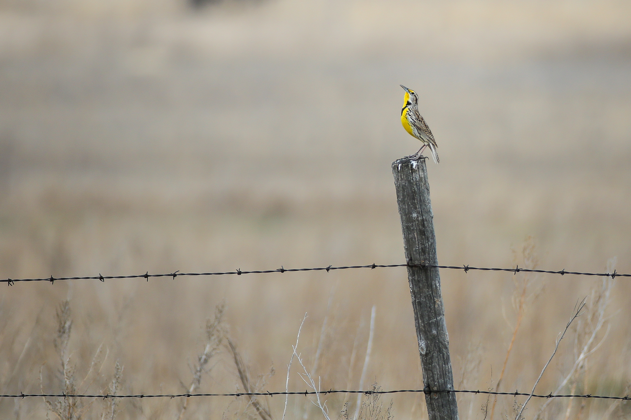 Outdoor Recreation Coteau des Prairies Lodge