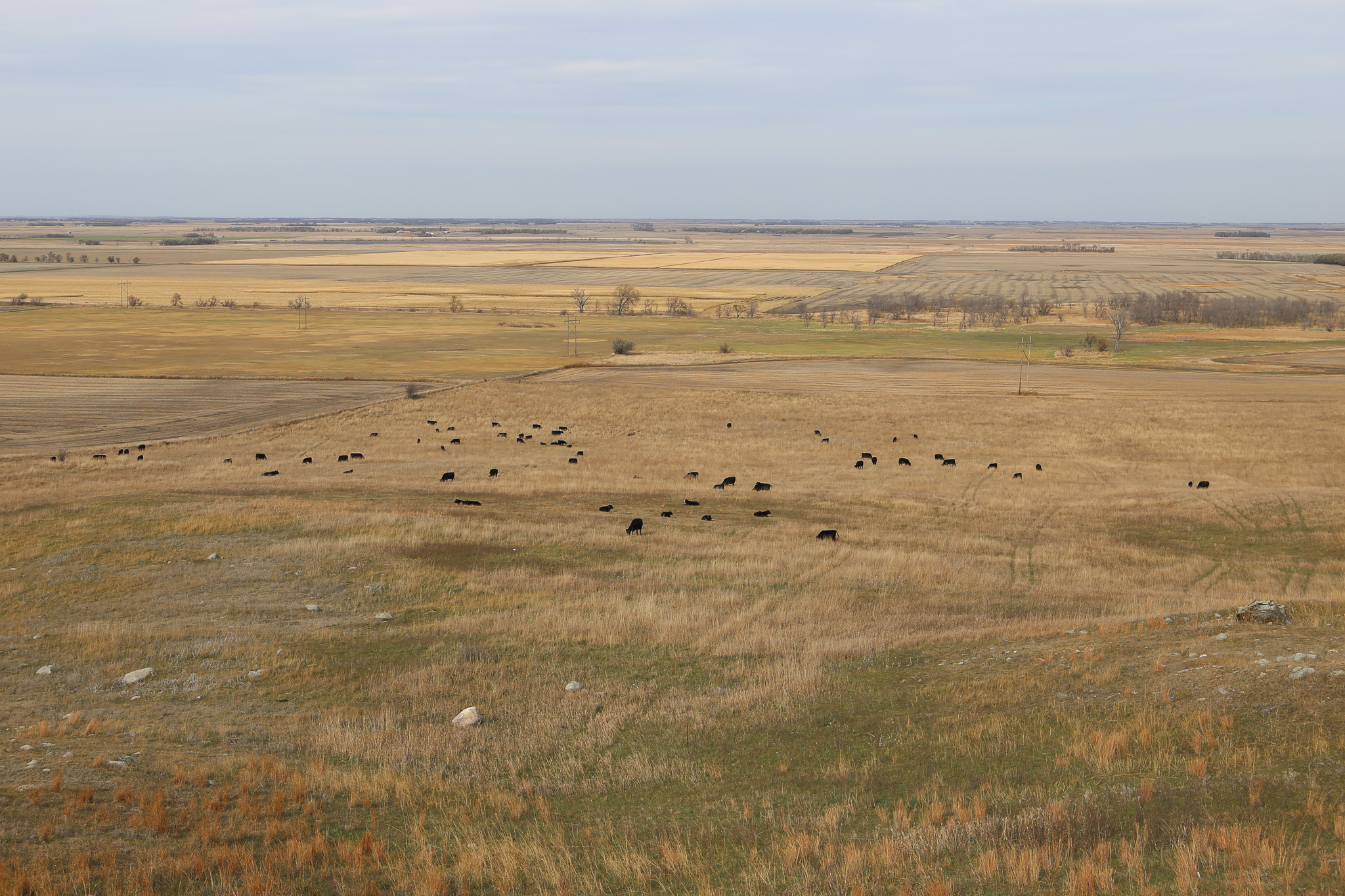 Photos Coteau des Prairies Lodge