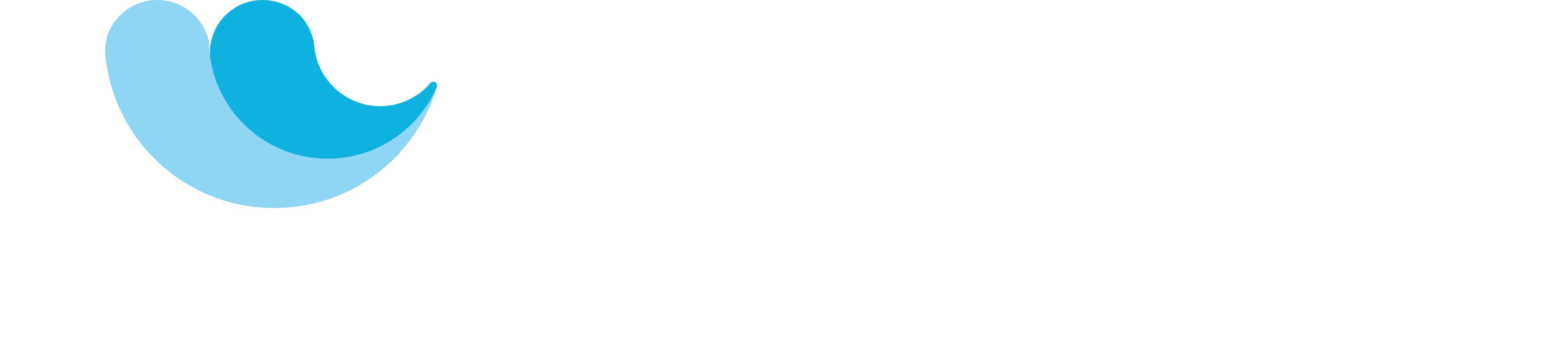 Maintenance and Service Chip & Dip Pools and Spas