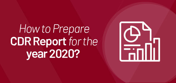 How to Prepare CDR Report for the year 2020? CDR Report Writers