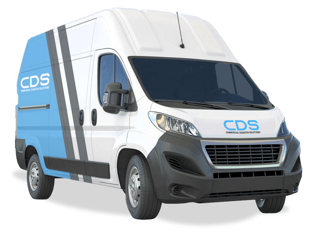 Mold Removal vs Mold Remediation What's the Difference?