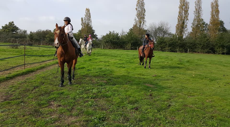 DREAMLAND'RANCH Office de Tourisme de Grand Lieu