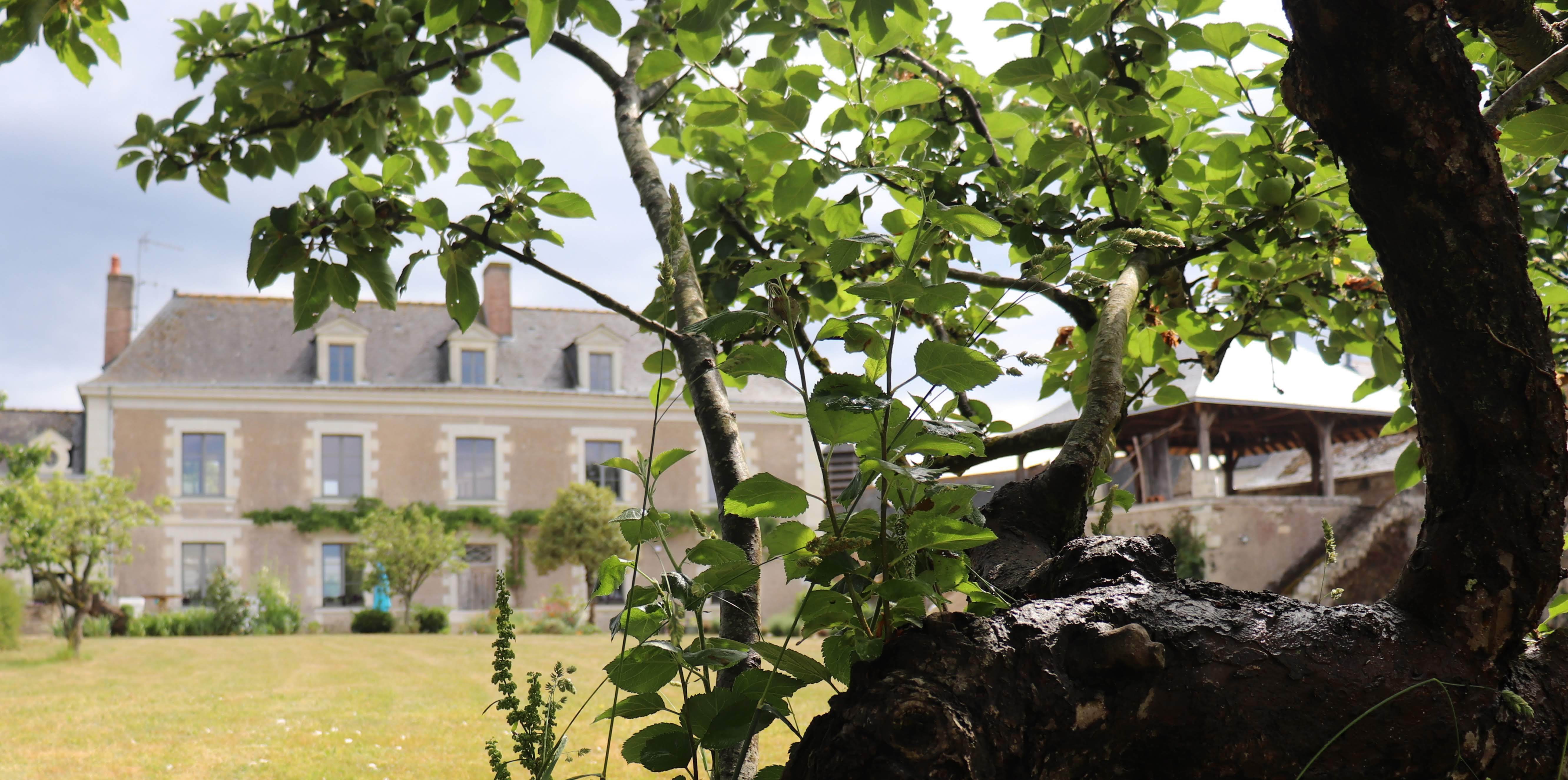 Chambre d'hôtes à SaintMelainesurAubance La Demeure de l'Aubance Anjou Tourisme
