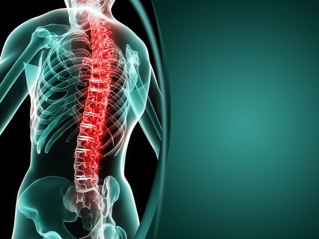 Neck & Back Injuries CE University