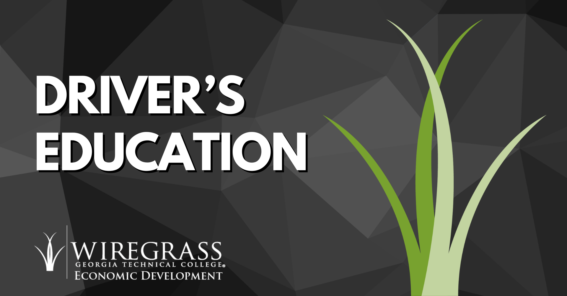 Driver's Education Wiregrass Technical College