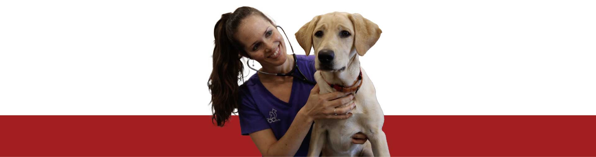 Veterinary Urgent Care Easton, MA