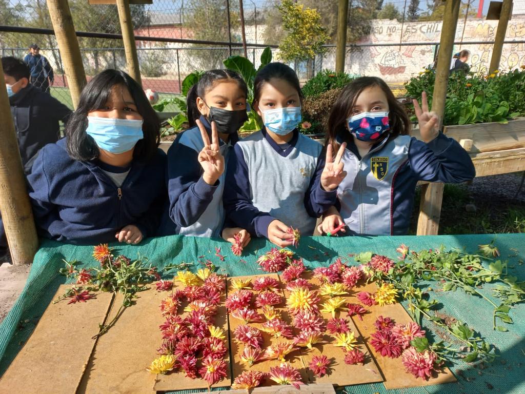 Huerto sustentable en Liceo Bicentenario Nuestra Señora de Guadalupe
