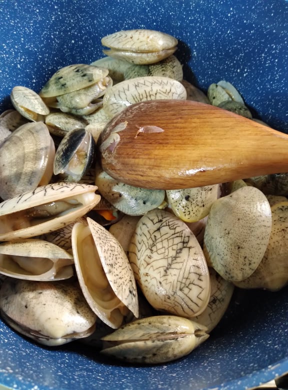 BFAR7 Shellfish from Tagbilaran City, Dauis town in Bohol still not