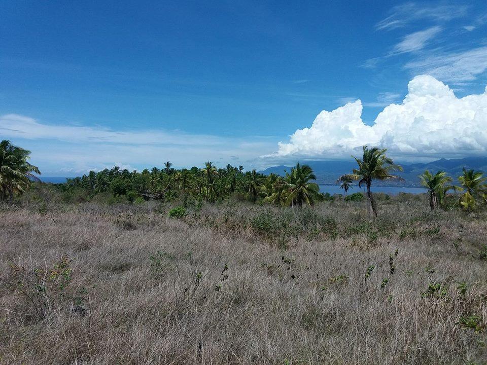 22,000 sqm farmland/residential property in Santander Cebu Cebu