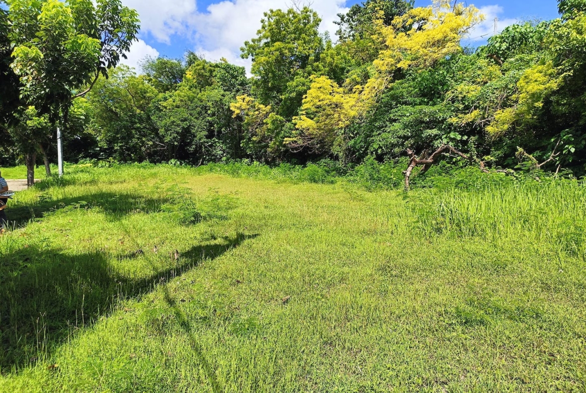 Cebu lot for Sale inside High end Subdivision