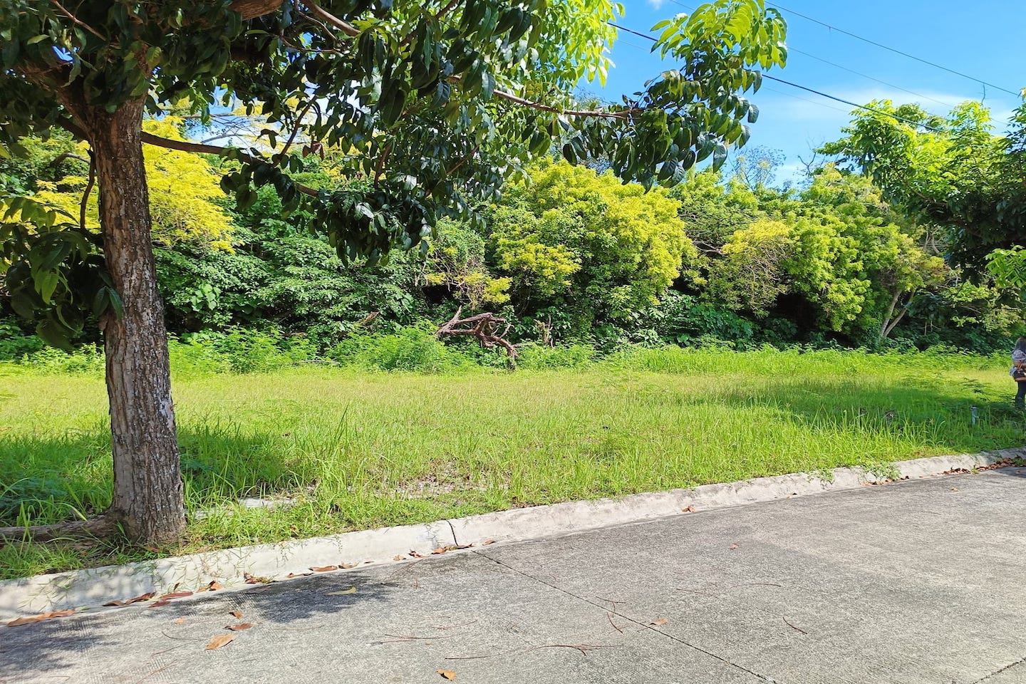 Cebu lot for Sale inside High end Subdivision